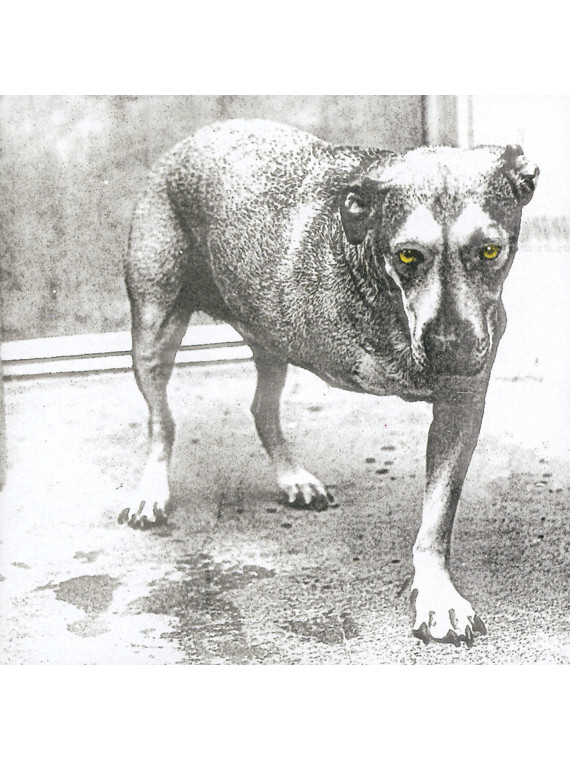 Alice in chains