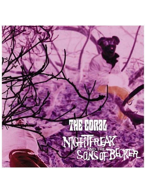 Nightfreaks and the sons of becker