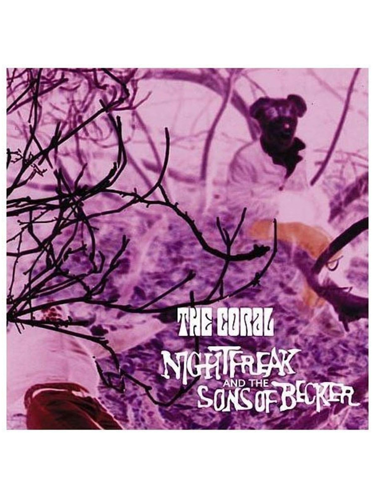 Nightfreaks and the sons of becker
