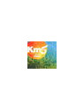 Km.5 ibiza 2005