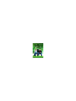Partnerperfetto.com