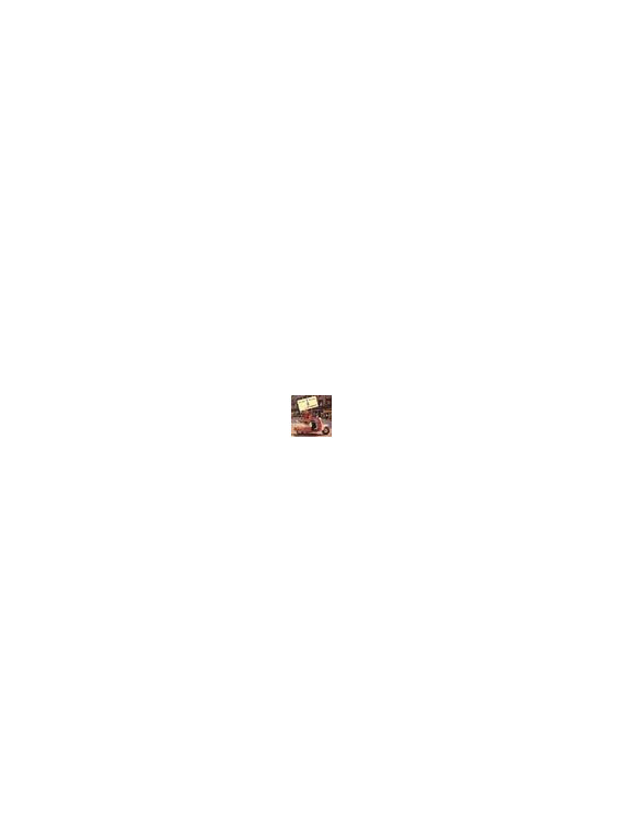 Have guitar will tour
