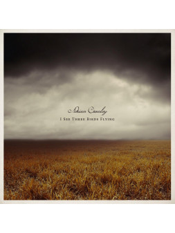 I see three birds flying