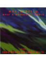 What a wonderful world - gomez eddie