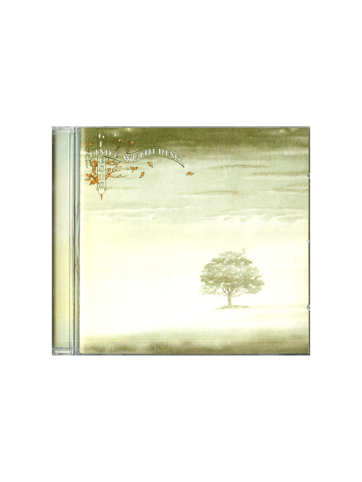 Wind & wuthering (2008 remaster)