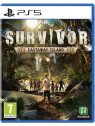 Survivor castaway island