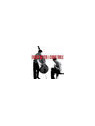 Edgar meyer & chris thile