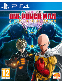 One-punch man: a hero nobody knows