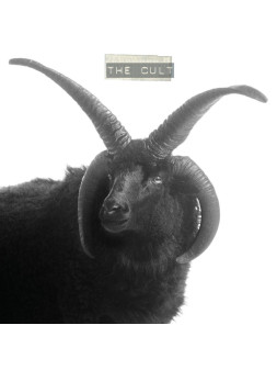 The cult- white ivory vinyl