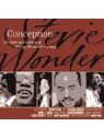 An interpret. of wonder's