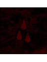 Afi (the blood album)