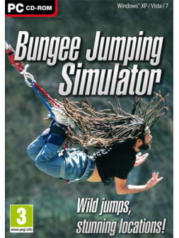 Bungee simulator