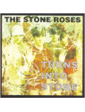 Turns into stone