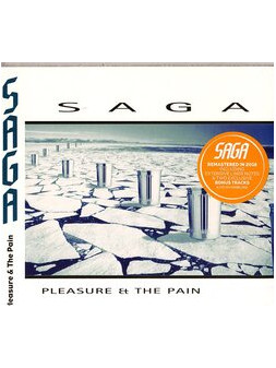 Pleasure and the pain(2015 ed.)