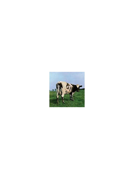 Atom heart mother (remastered 2011)