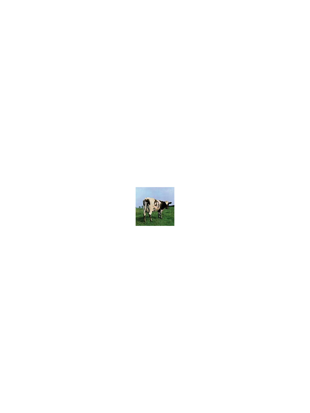 Atom heart mother (remastered 2011)