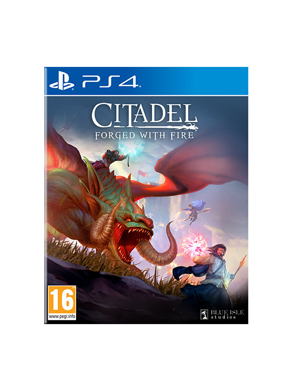 Citadel: forged with fire