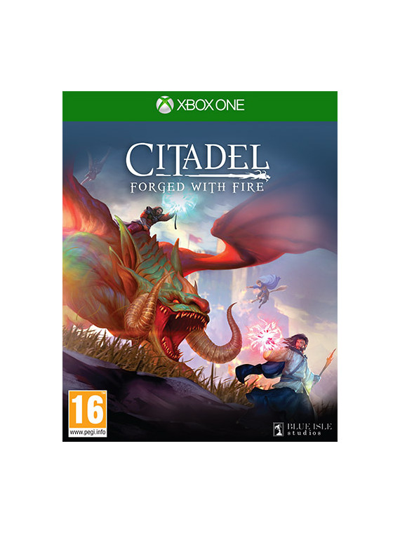 Citadel: forged with fire